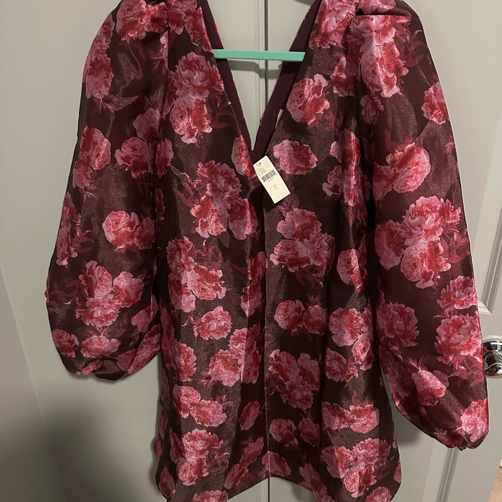 BHLDN Aliana Long-Sleeve V-Neck Floral
Organza Mini Dress